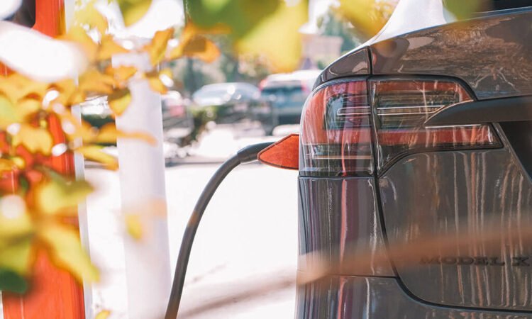 petrol and diesel cars