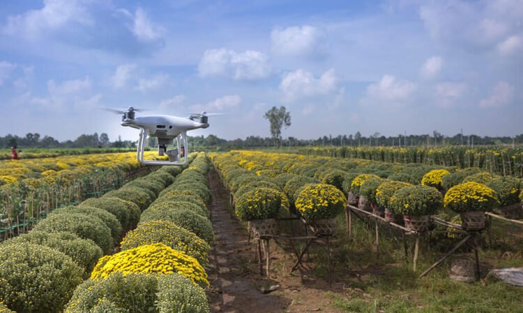 Is technology the answer to food vulnerability