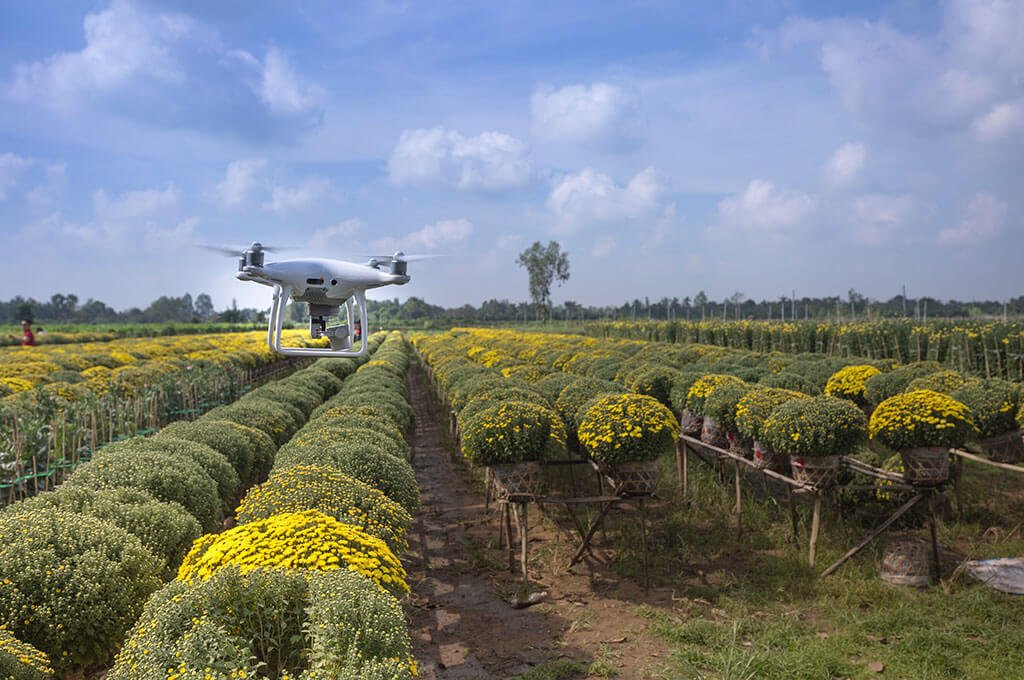 Is-technology-the-answer-to-food-vulnerability Is technology the answer to food vulnerability
